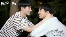 🇹🇭 The Miracle Of Teddy Bear (2022) - Episode 14 Eng Sub