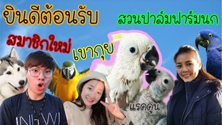 รีวิวนกแก้ว :ต้อนรับสมาชิกใหม่ เขากุย(Birdyard Channel) & แรคคูน (Topby Toast) สวนปาล์มฟาร์มนก EP.96