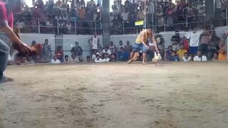 swhite win