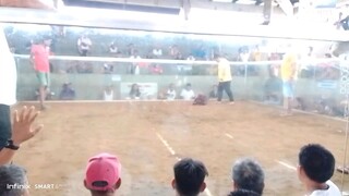 2nd fight na yan maliit lng pero  may sayaw rin hihi
