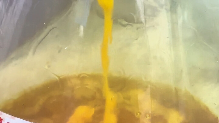 3 كيلوغرامات من راتنج امتصاص الذهب أنتجت هذا القدر الهائل من الذهب.. يا صديقي، أنت غني الآن! #علم_ال