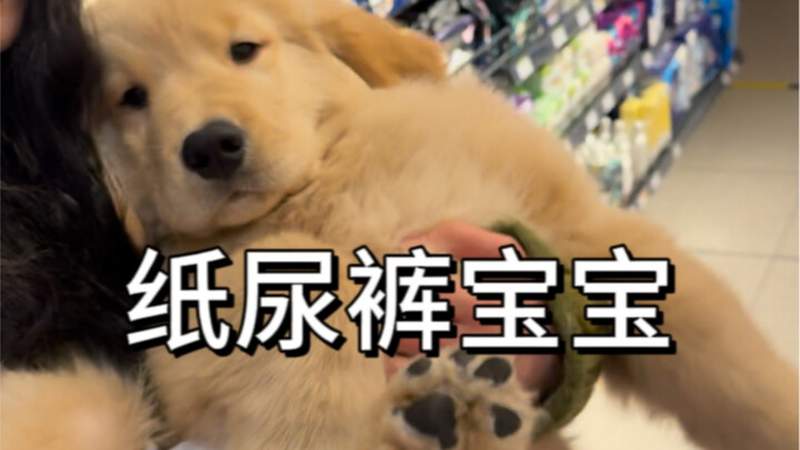 Khi cún con tè dầm trong trung tâm thương mại