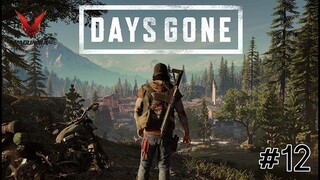 DAYS GONE Walkthrough Gameplay Part 12 (PS4 Pro)