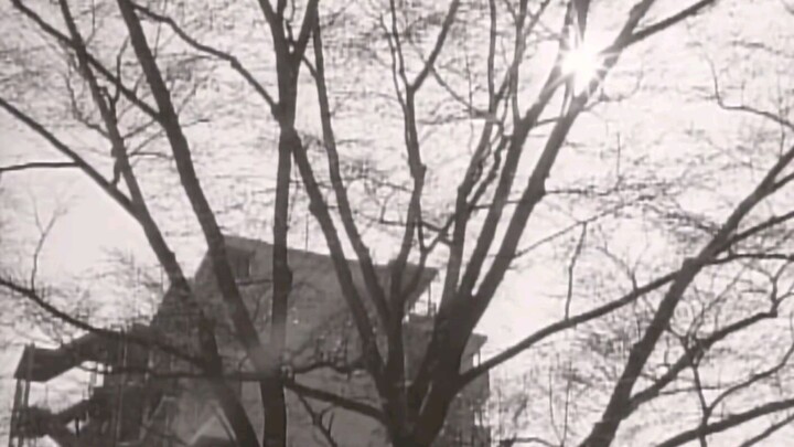 ซูเปอร์แบทเทิล อุลตร้าแมน ปะทะ คาเมนไรเดอร์