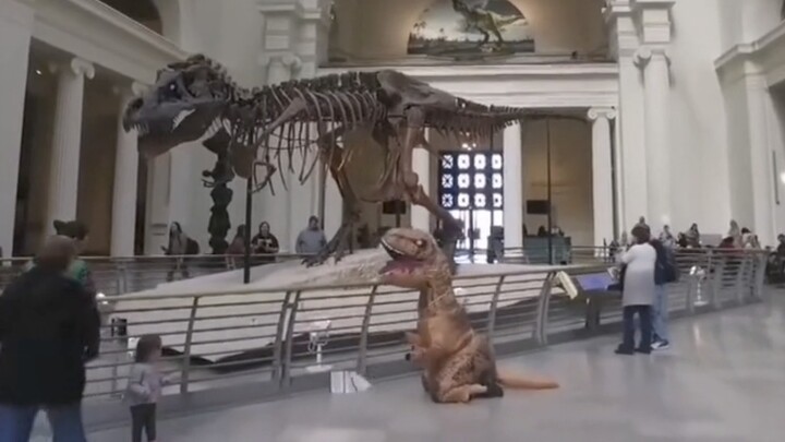 You want to care for your parents, but they’re no longer here.