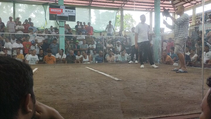 hindang 4 cocks derby first fight win