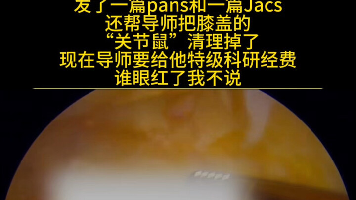博士师兄发了pans和jacs，还帮导师清理了“关节鼠”