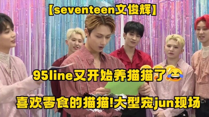 【seventeen】Lại bắt đầu nuôi mèo Jun rồi, Jun thích đồ ăn vặt lắm!