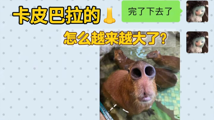 When I deliberately photoshopped the capybara’s nostrils to be much bigger