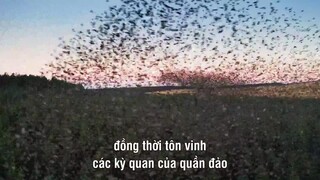 Quần Đảo Anh Hoang Dã EP 1 [Sub Việt]