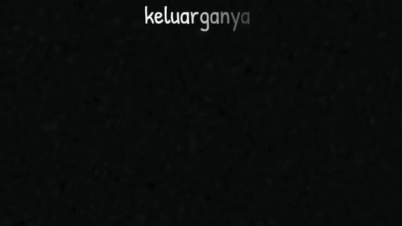 fakta anak kedua