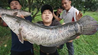 ĐÂY LÀ MÓN ĂN CỰC KÌ TÂM HUYẾT CỦA ĐẦU BẾP SỐ 1 KÊNH