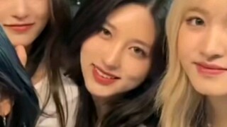 مجرد مشاهدة هذا الفيديو تجعل مزاجي يتحسن! كينغيوان «الثلج الأول» كت شخصي من تشيا