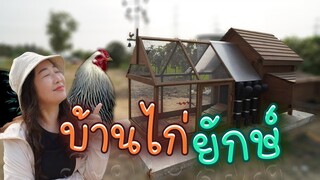 บ้านไก่ยักษ์บราห์มา (Brahma chicken)  Ep.177