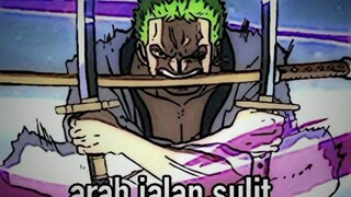 ZORO KANG NYASAR !!