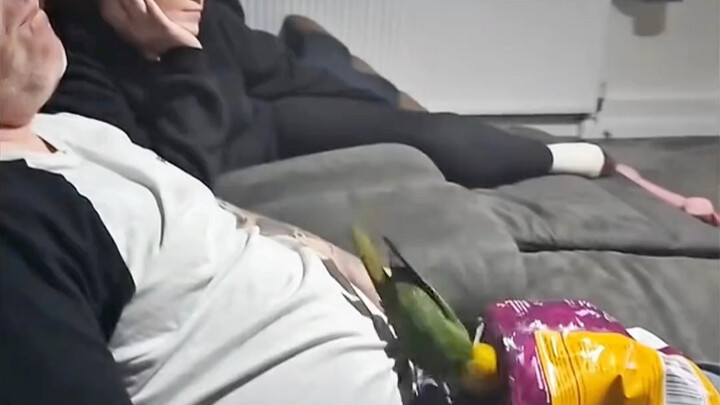 Parrot Impersonation Show