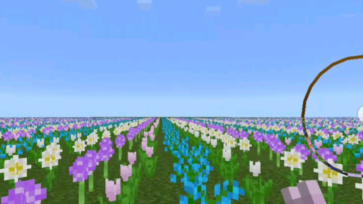 Minecraft  Flowers video