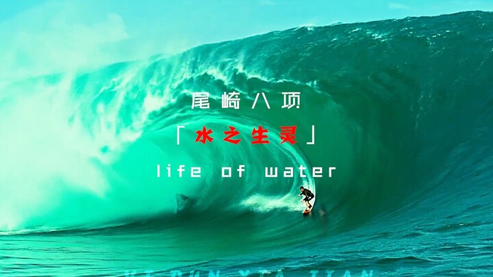 《尾崎八项》-“仙人之下我无敌 仙人之上一换一”
