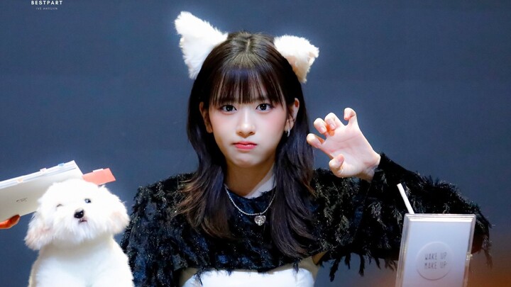 【آن يو جين】التناقض