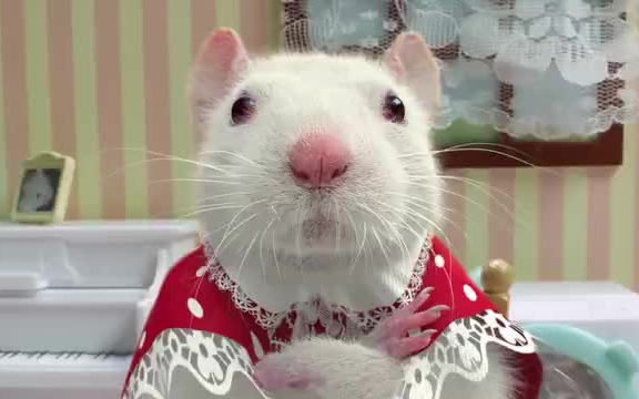 Thailand’s Sand Sculpture Anti-Smoking Ad: A Pitiful Little White Mouse…