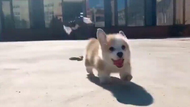 “Nonton ini pasti bikin mood jadi lebih baik~”