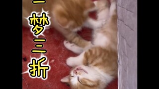 活着挺好，死了也行