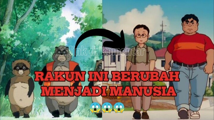 Mustahil! Para Rakun ini Bisa Berubah Menjadi Manusia!!!