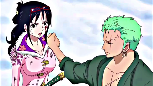 ZORO X TASHIGI