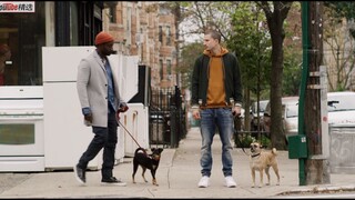 安吉 坐下！布鲁诺 坐下！