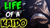 The Life & Times of Kaido - One Piece Discussion | Tekking101
