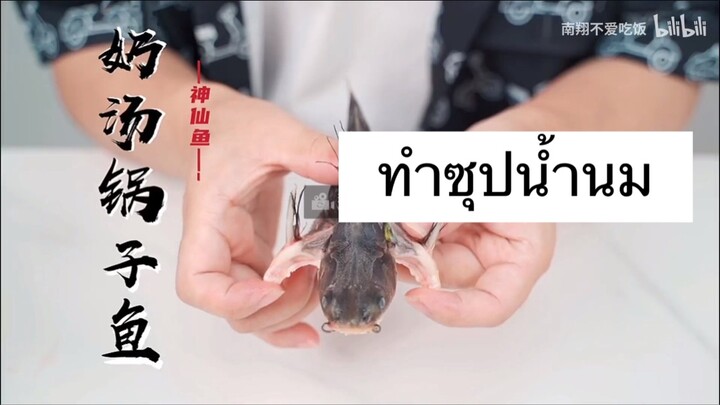 ทำซุปน้ำนมจากปลา