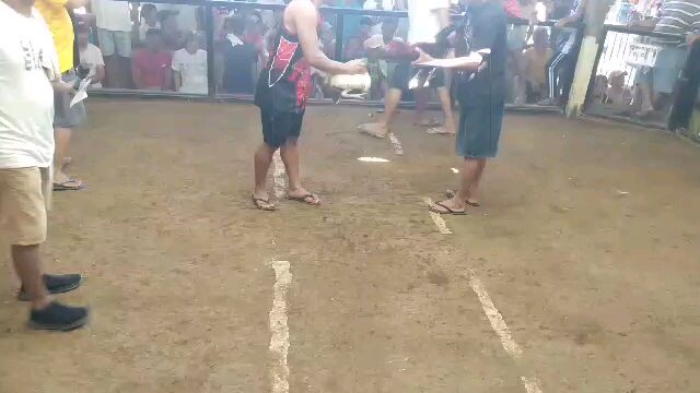 2wins ulotàn 1st fight draw..