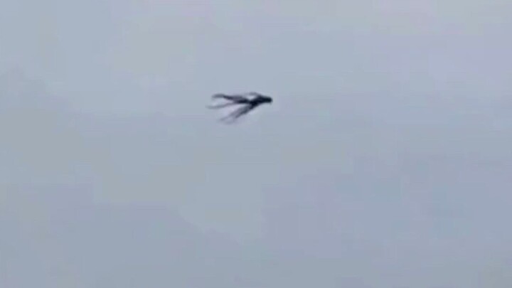 Aerial sighting of a Leviathan - unidentified flying object - UFO