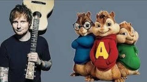 Shape Of You | Chipmunks Version | By Toxic Studio