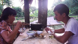 Hái Nấm Khổng Lồ và Thật Bất Ngờ Về Hương Vị Của Nó