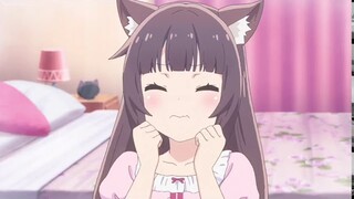 Funny Cute Nekopara Compilation