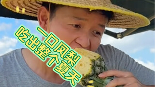 【水果猎人】一口凤梨，吃出整个夏天！