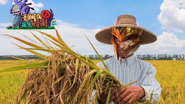 【Khoảnh khắc hài hước của nhóm Đồng】Tập 175: Trời ơi! Hoàng tử này còn trồng lúa ngay trong miệng tô