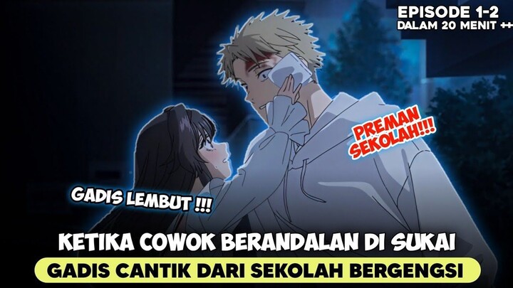 KETIKA COWOK BERANDALAN DI SUKAI GADIS IMUT DARI SEKOLAH BERGENSI ‼️ - ALUR CERI