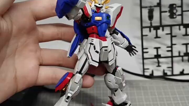 Anak bernama Ray benar-benar berpikir dia bisa menjadi juara dunia