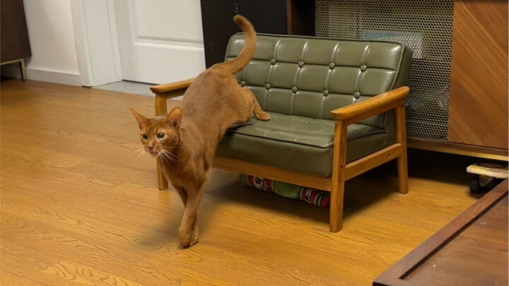 Brother Jun’s punches aren’t even as fast as his own kicks…