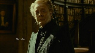 【HP】很长一段时间里，麦格校长喜欢看着墙上的画像发呆。