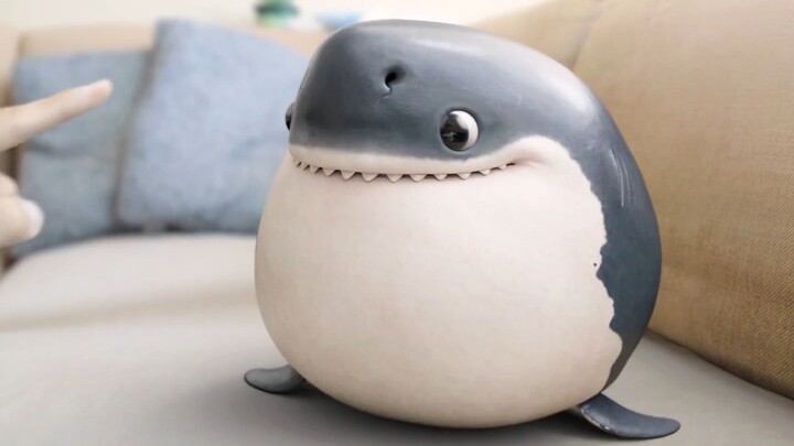 The baby shark is so cute and makes its owner happy every day!