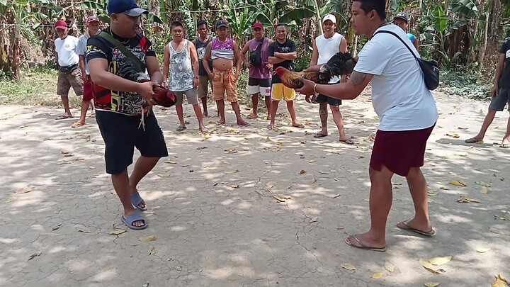 bulik hndi na bumalik