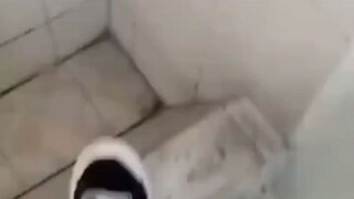 Wa