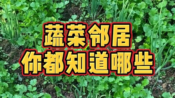 Reborn: I’m Learning to Grow Vegetables on Bilibili