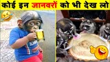 😂 इन जानवरों की बेवकूफी तो देखो जरा | Indian Animals Funny Videos | Funniest Animals Fails 2022