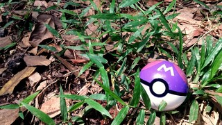 Real Life MasterBall - Pokemon - PokeBall - Gym Badge