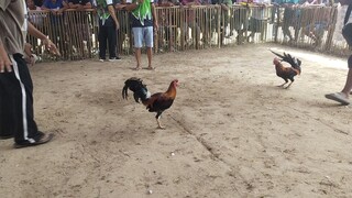 3xW