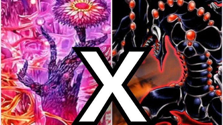 Yu-Gi-Oh Master Duel [Numeron X Gandora]